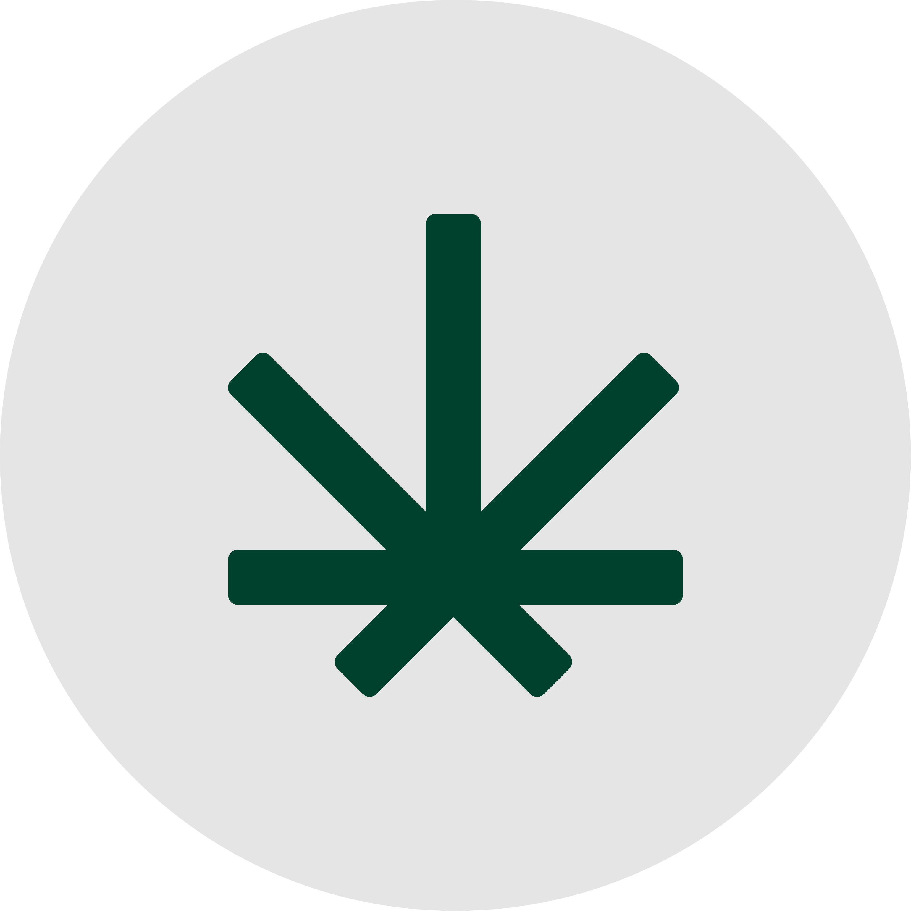logo dark